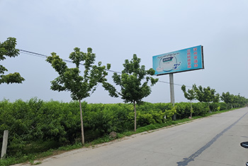 8e8560ab16e8d627a82e79bc91a54a4 副本.jpg